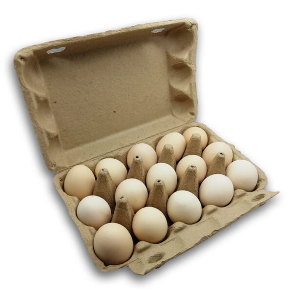 pulp egg cartons 15 cells