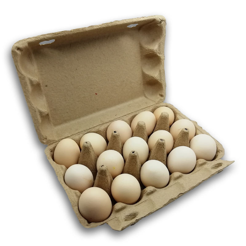 गूदे अंडे के कार्टन 15 सेल