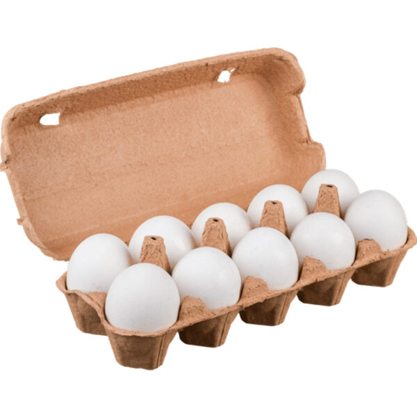 egg cartons 10 cells